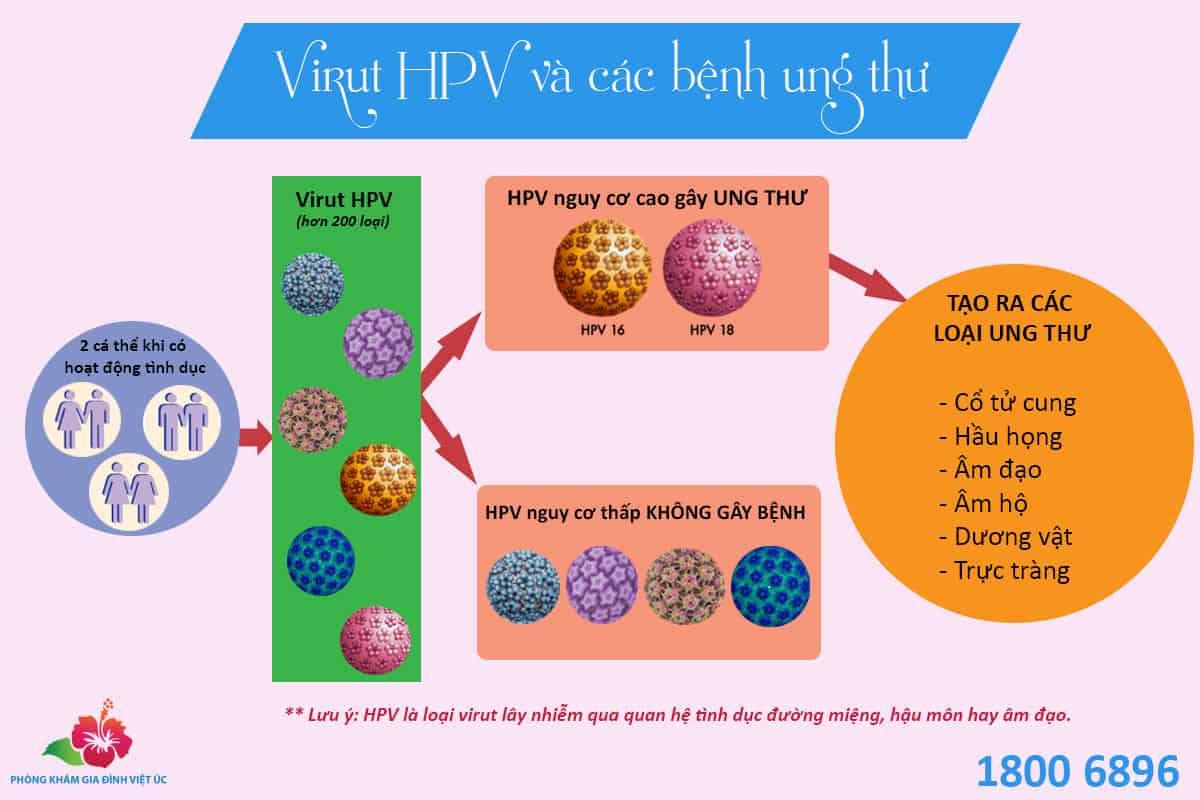 Moi-quan-he-giua-virut-HPV-va-cac-benh-ung-thu