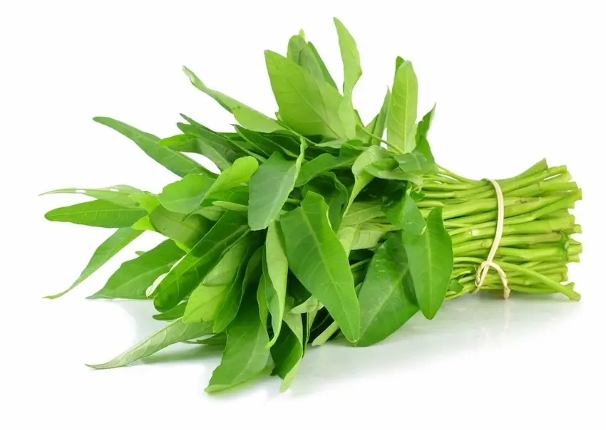 kieng sau muong 