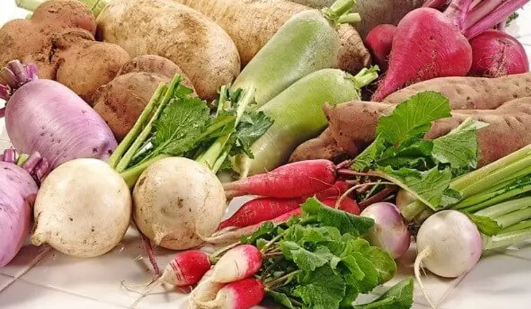 Bị sẹo lồi nên ăn gì 
